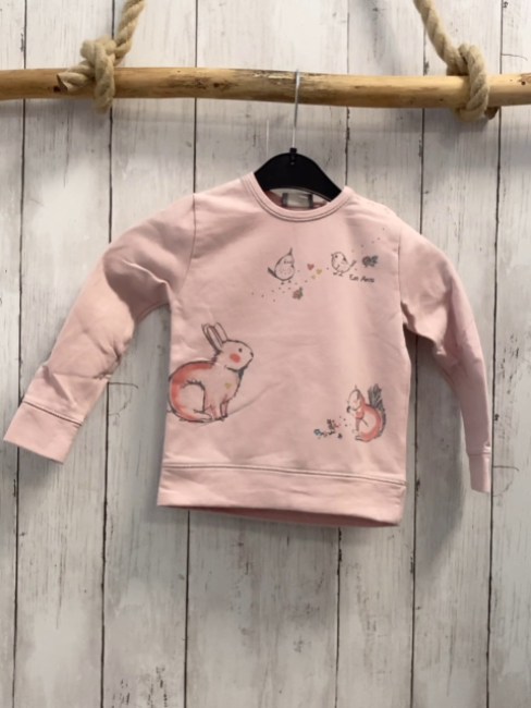 Eat Ants  Pullover  Gr. 86  rosa Eichhörnchen Vögel