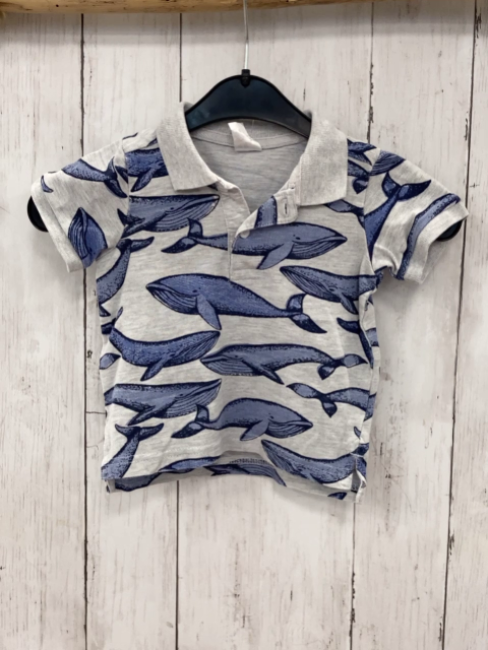 H&M T-Shirt Gr. 74  grau blaue Wale