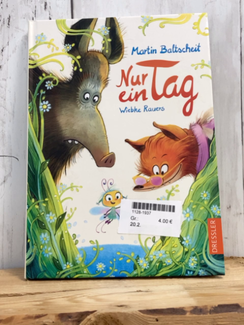   Buch Nur ein Tag