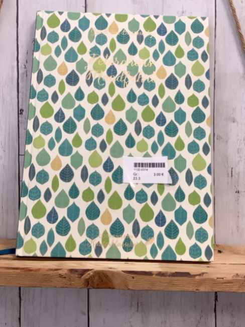  Buch Peterchens Mondfahrt