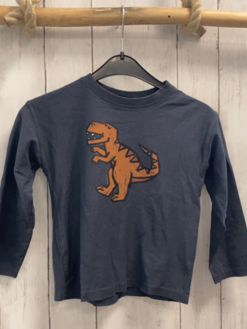 zara Langarmshirt Gr. 104  grau Dino