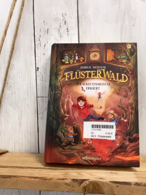 Flüsterwald  Buch Der Schattenmeister erwacht 