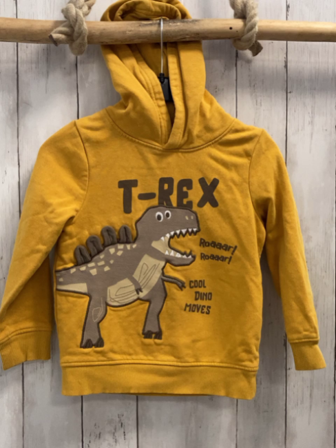   Pullover  Gr. 116  mais Kapuze Dino Schrift 