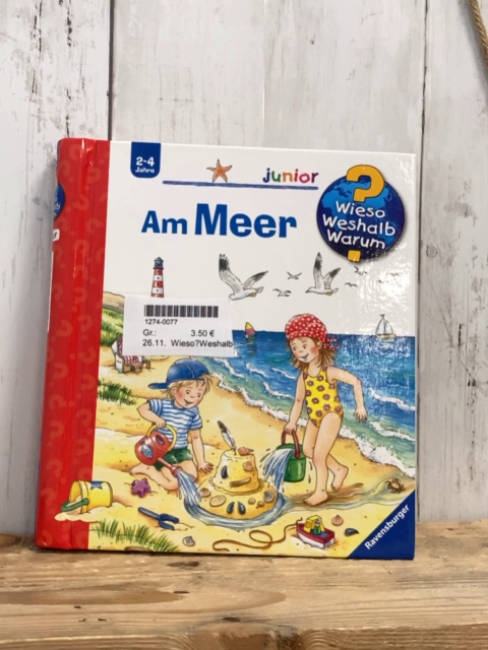 Wieso?Weshalb?Warum? Pappbuch Am Meer 