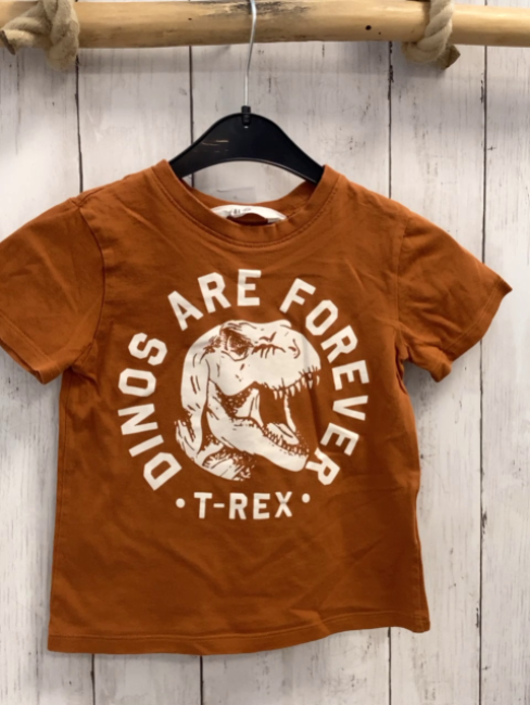 H&M  T-Shirt  Gr. 98  rost weißer Dinokopf + Schrift 