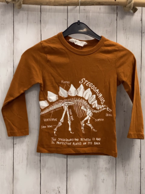 H&M  Langarmshirt  Gr. 98  ocker weißer Dino + weiße Schrift 