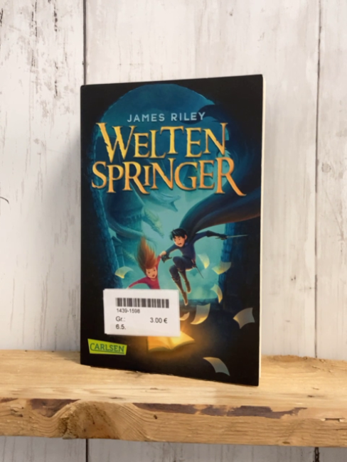  Taschenbuch Weltenspringer