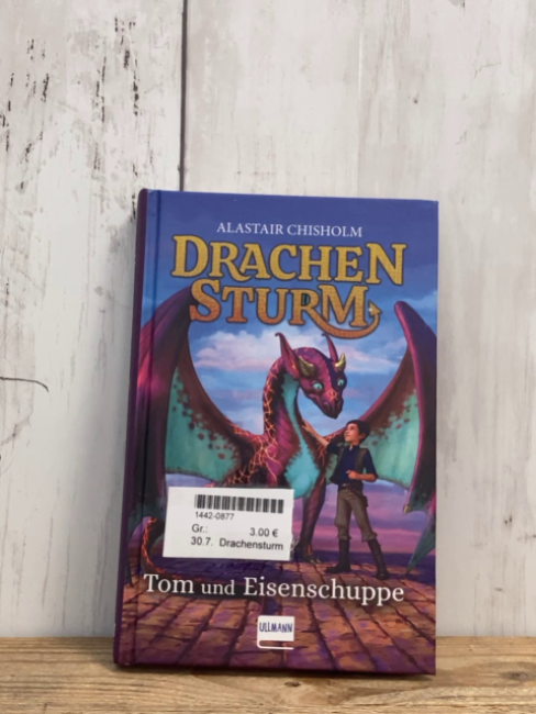 Drachensturm  Buch Tom und Eisenschuppe 