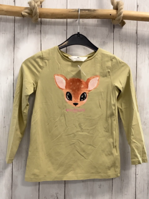 H&M  Langarmshirt  Gr. 116  mint Reh rosa Schrift 