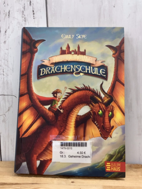 Geheime Drachenschule  Buch  