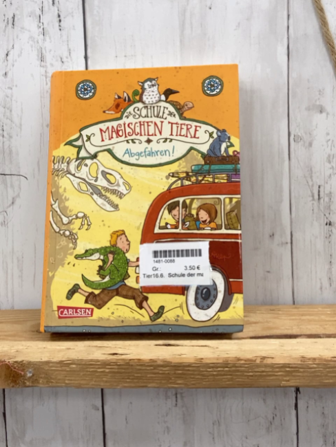 Schule der magischen Tiere Buch Abgefahren