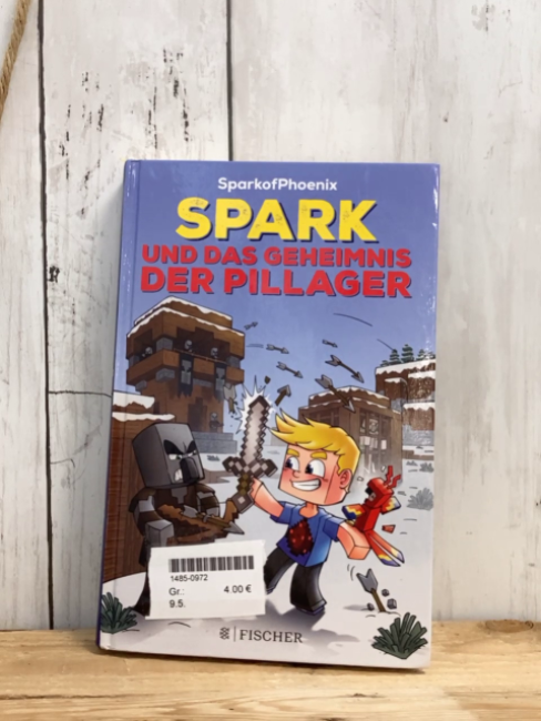  Buch Spark und das Geheimnis der Pillager