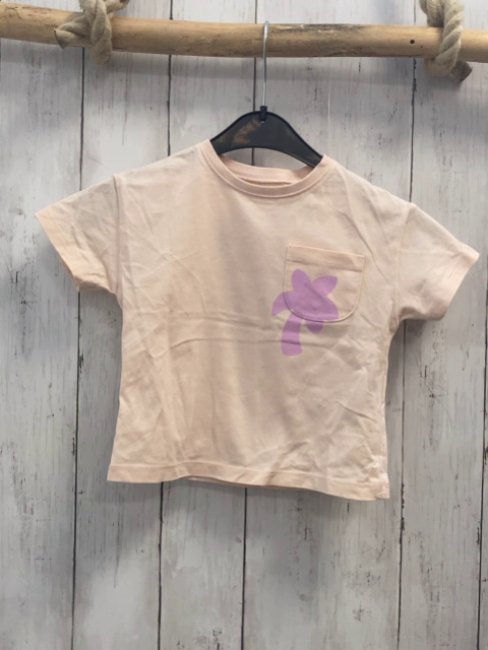 Zara  T-Shirt  Gr. 92  creme rosa Palme + Schrift 