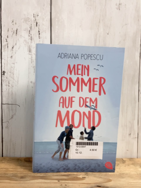  Taschenbuch Mein Sommer auf dem Mond