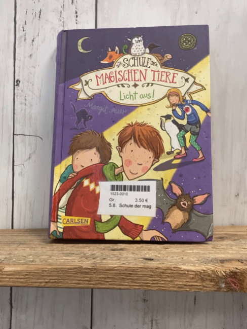 Schule der magischen Tiere  Buch Licht aus 