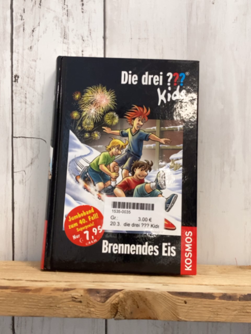 die drei ??? Kids Buch Brennendes Eis