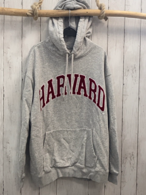 H&M  Pullover  Gr. 170/176  grau Kapuze rote Schrift Harvard 
