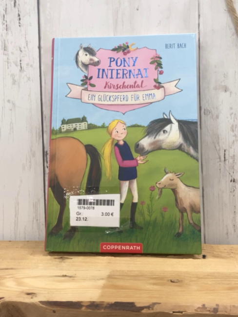  Buch Pony Internat Eim Glückpferd für Emma