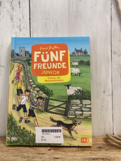  Buch Fünf Freunde junior