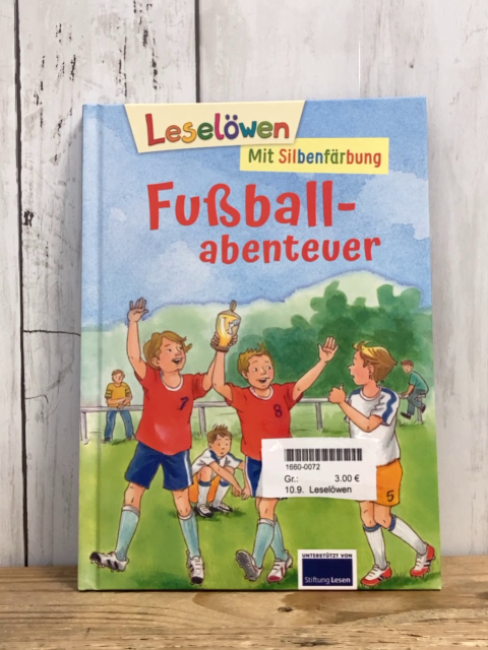 Leselöwen  Buch Fußballabenteuer 