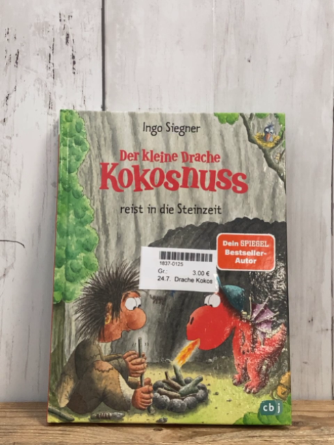 Drache Kokosnuss  Buch ... reist in die Steinzeit 