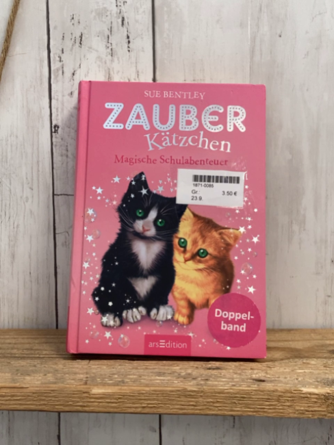   Buch Zauberkätzchen Magische Schulabenteuer 