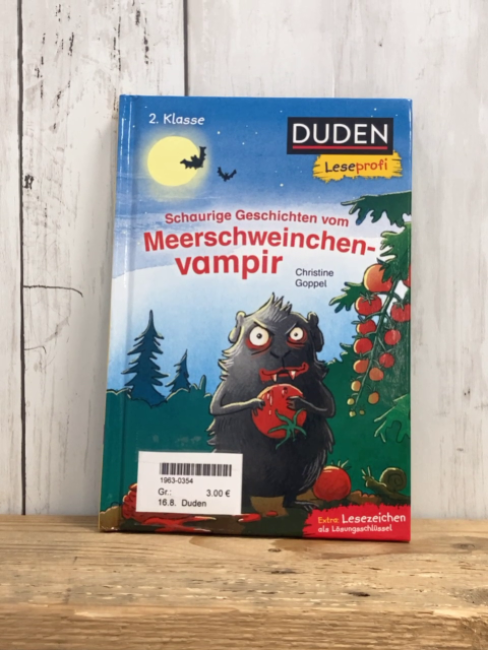 Duden  Buch Schaurige Geschichten vom Meerscheinchenvampir 